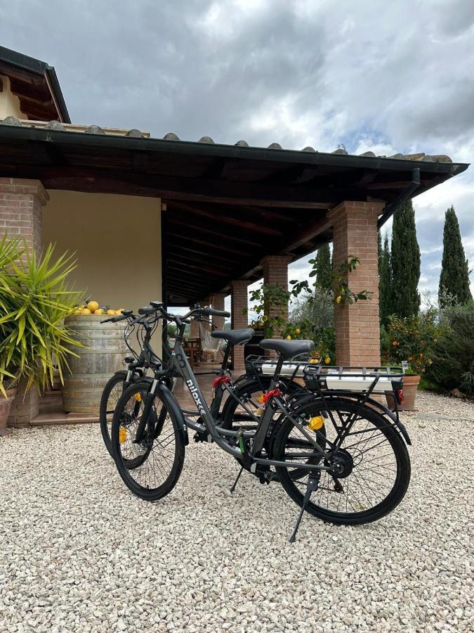 Bed and Breakfast Casale Terre Rosse Saturnia Exterior foto