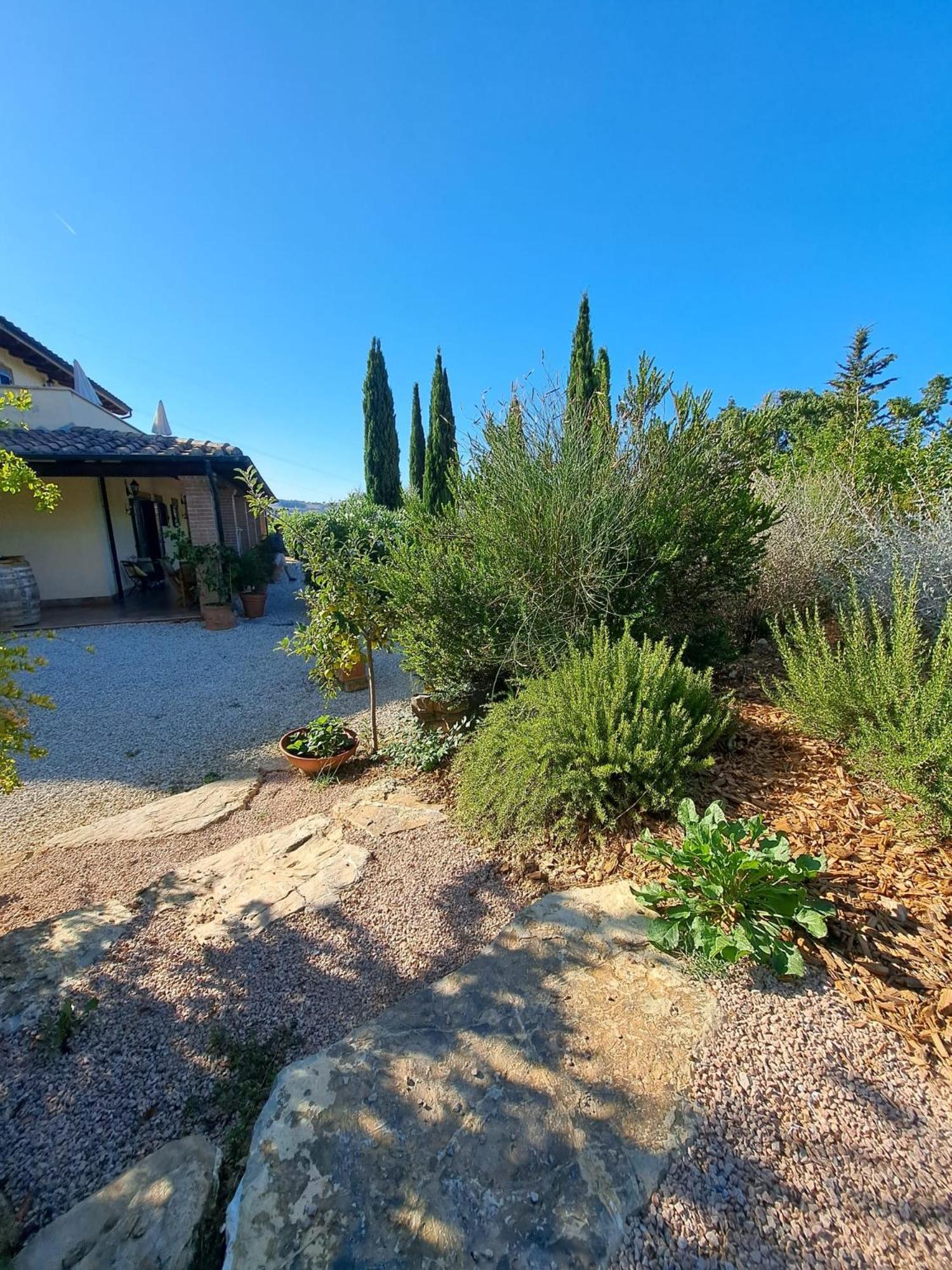 Bed and Breakfast Casale Terre Rosse Saturnia Exterior foto